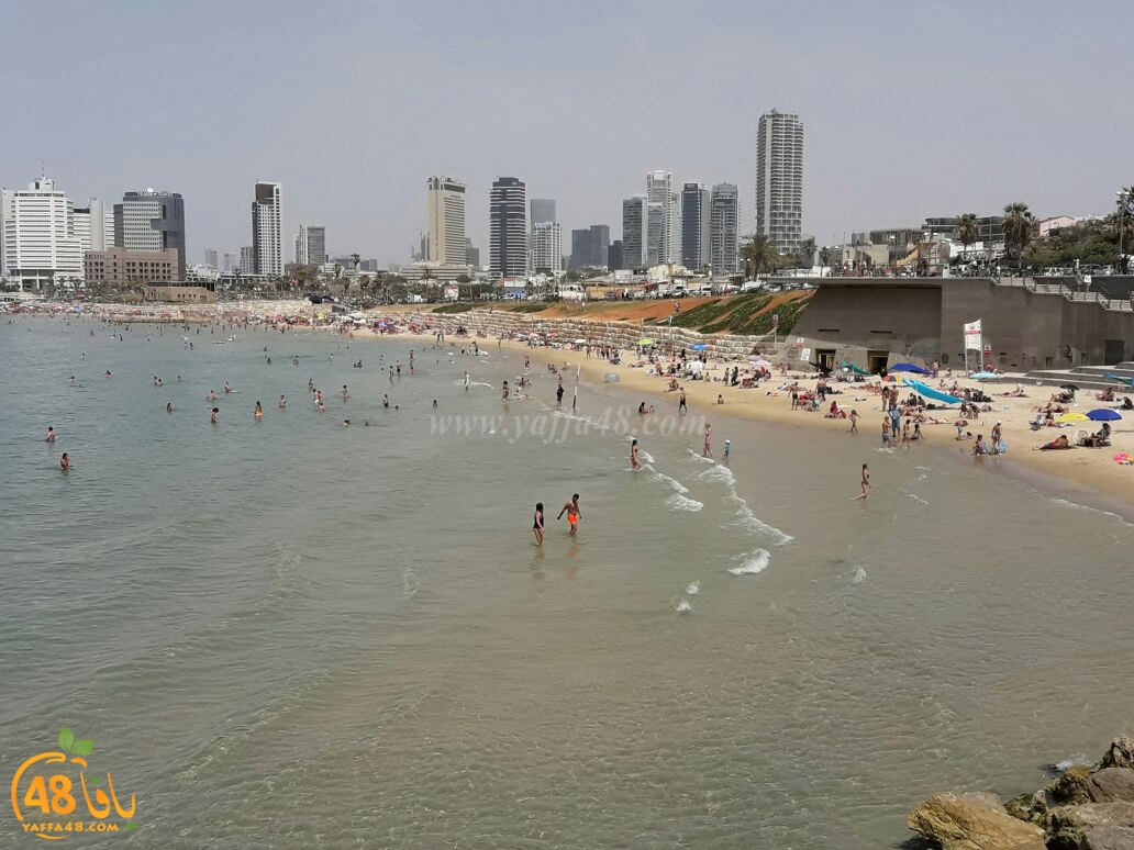 yaffa seya7a (1).jpg